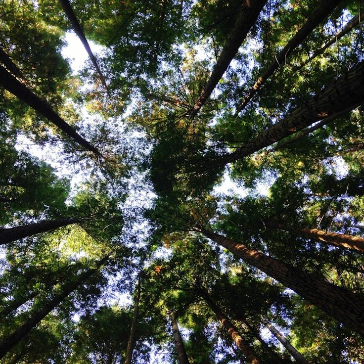 Nature travel hero image